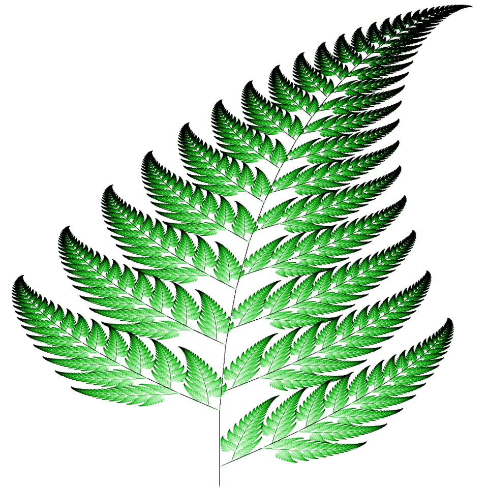 Barnsley Fern — A few transformations generate a surprisingly plant-like form.