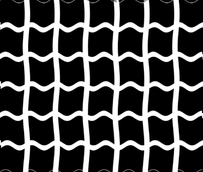 Curved white grid lines separate black regions in a variation of the Hermann grid.