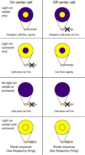 Purple and yellow circular diagrams illustrate comparisons between central and surrounding regions.