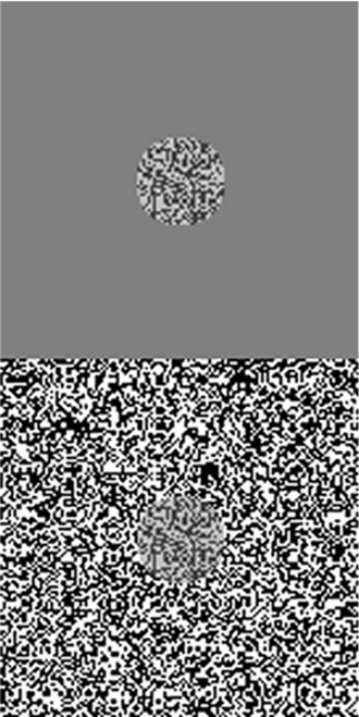 Chubb Illusion — The same central texture appears to have different contrast.