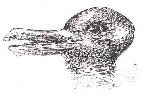 A single animal head whose left-facing bill can also be read as rabbit ears.